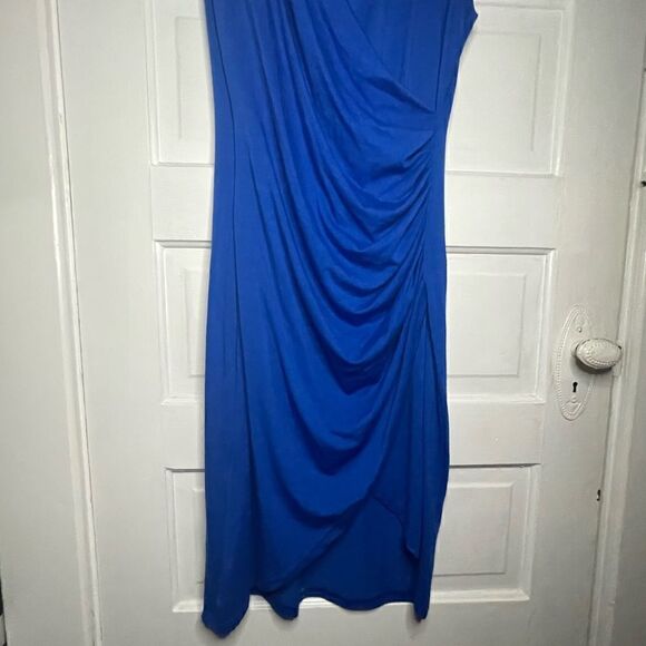 NWTs Acevog Stretchy Cotton Dress w/ Concealed Back Zip & Accentuating Waist XL - Picture 5 of 9